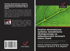 Copertina di Analiza ekonomiczna systemu nawadniania ekologicznego na półpustynnych terenach stanu Ceará