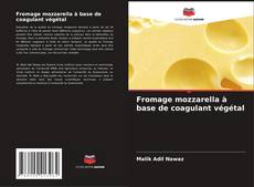 Couverture de Fromage mozzarella à base de coagulant végétal