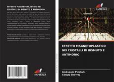Bookcover of EFFETTO MAGNETOPLASTICO NEI CRISTALLI DI BISMUTO E ANTIMONIO