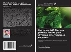 Copertina di Morinda citrifolia: una potente hierba para diversas enfermedades comunes.