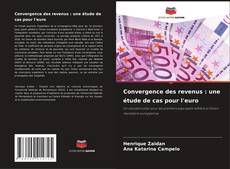 Bookcover of Convergence des revenus : une étude de cas pour l'euro