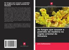 Os fungos que causam a podridão da madeira na região oriental do Himalaia的封面