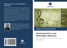 Portada del libro de Musikunterricht in der Mikroregion Blumenau
