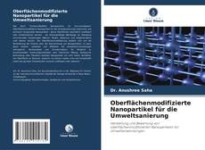Couverture de Oberflächenmodifizierte Nanopartikel für die Umweltsanierung
