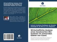 Обложка Wirtschaftliche Analyse eines bewässerten Bio-Systems im semiariden Gebiet von Ceará