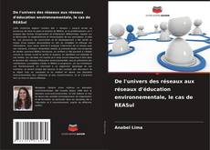 De l'univers des réseaux aux réseaux d'éducation environnementale, le cas de REASul kitap kapağı