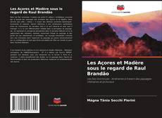 Обложка Les Açores et Madère sous le regard de Raul Brandão