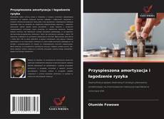 Copertina di Przyspieszona amortyzacja i łagodzenie ryzyka