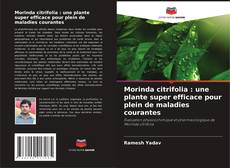Capa do livro de Morinda citrifolia : une plante super efficace pour plein de maladies courantes 