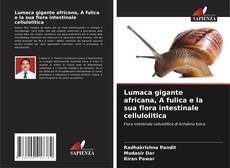 Bookcover of Lumaca gigante africana, A fulica e la sua flora intestinale cellulolitica