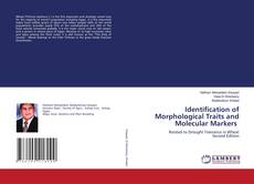 Buchcover von Identification of Morphological Traits and Molecular Markers