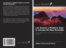 Copertina di Las Azores y Madeira bajo la mirada de Raul Brandão