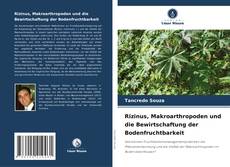 Capa do livro de Rizinus, Makroarthropoden und die Bewirtschaftung der Bodenfruchtbarkeit 