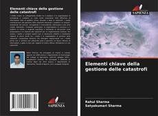 Bookcover of Elementi chiave della gestione delle catastrofi