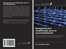 Nanopartículas modificadas para la ecorremediación的封面
