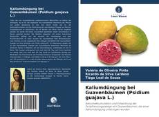 Kaliumdüngung bei Guavenbäumen (Psidium guajava L.)的封面