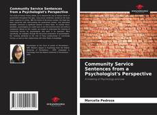 Community Service Sentences from a Psychologist's Perspective kitap kapağı