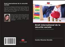 Capa do livro de Droit international de la sécurité sociale 