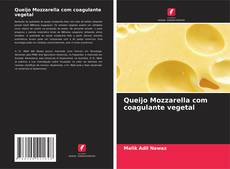 Bookcover of Queijo Mozzarella com coagulante vegetal