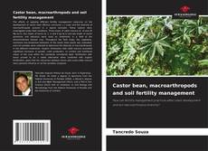 Bookcover of Castor bean, macroarthropods and soil fertility management