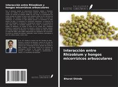 Copertina di Interacción entre Rhizobium y hongos micorrízicos arbusculares