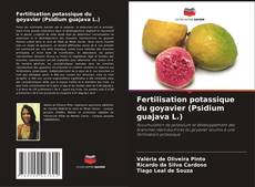 Bookcover of Fertilisation potassique du goyavier (Psidium guajava L.)