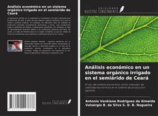 Análisis económico en un sistema orgánico irrigado en el semiárido de Ceará的封面
