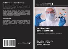 Bookcover of Antibióticos betalactámicos