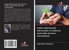 Fattori determinanti dell'accesso al credito da parte delle piccole e microimprese的封面