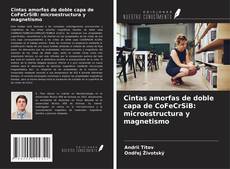 Copertina di Cintas amorfas de doble capa de CoFeCrSiB: microestructura y magnetismo