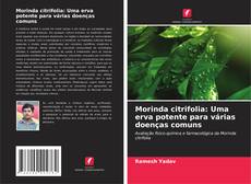 Bookcover of Morinda citrifolia: Uma erva potente para várias doenças comuns