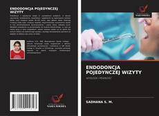 ENDODONCJA POJEDYNCZEJ WIZYTY的封面