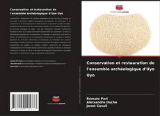 Copertina di Conservation et restauration de l'ensemble archéologique d'Uyo Uyo