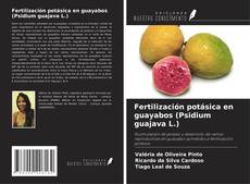 Bookcover of Fertilización potásica en guayabos (Psidium guajava L.)