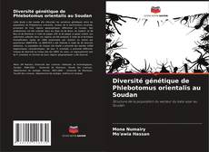 Couverture de Diversité génétique de Phlebotomus orientalis au Soudan