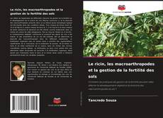 Bookcover of Le ricin, les macroarthropodes et la gestion de la fertilité des sols