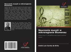 Buchcover von Nauczanie muzyki w mikroregionie Blumenau