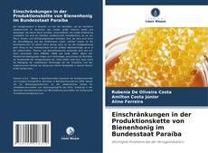 Copertina di Einschränkungen in der Produktionskette von Bienenhonig im Bundesstaat Paraíba