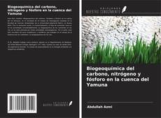 Couverture de Biogeoquímica del carbono, nitrógeno y fósforo en la cuenca del Yamuna