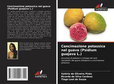Copertina di Concimazione potassica nel guava (Psidium guajava L.)