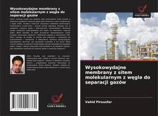 Bookcover of Wysokowydajne membrany z sitem molekularnym z węgla do separacji gazów