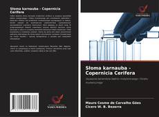 Copertina di Słoma karnauba - Copernicia Cerifera