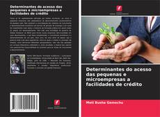 Portada del libro de Determinantes do acesso das pequenas e microempresas a facilidades de crédito