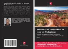 Resiliência de uma estrada de terra em Madagáscar kitap kapağı