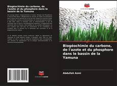 Biogéochimie du carbone, de l'azote et du phosphore dans le bassin de la Yamuna的封面