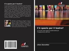 Bookcover of C'è spazio per il teatro?