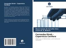 Buchcover von Carnauba-Stroh - Copernicia Cerifera