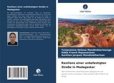 Portada del libro de Resilienz einer unbefestigten Straße in Madagaskar