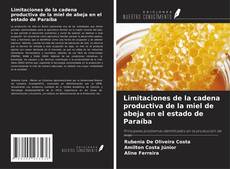 Limitaciones de la cadena productiva de la miel de abeja en el estado de Paraíba的封面