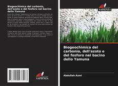 Capa do livro de Biogeochimica del carbonio, dell'azoto e del fosforo nel bacino dello Yamuna 